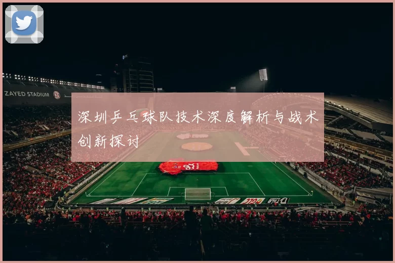 深圳乒乓球队技术深度解析与战术创新探讨