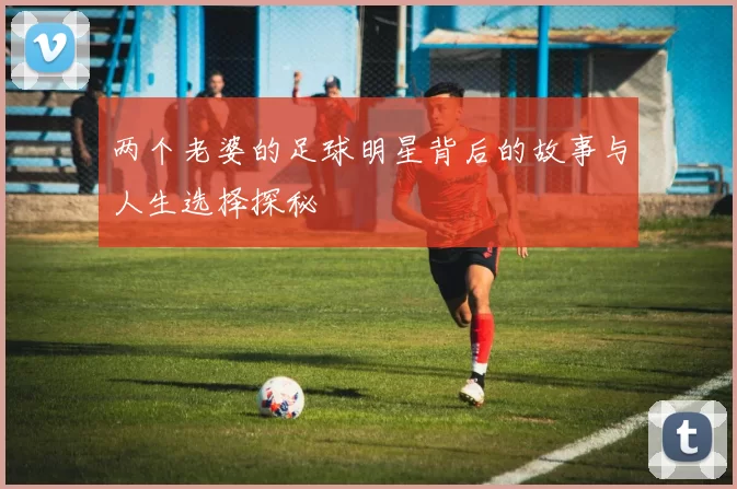 两个老婆的足球明星背后的故事与人生选择探秘
